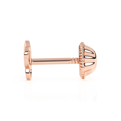 Petite Butterfly, Stud Earrings5