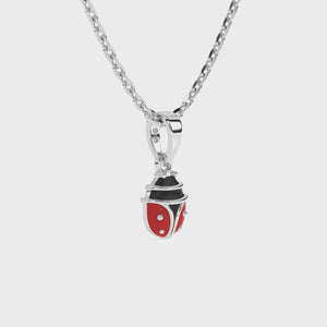 Sterling silver necklace with a red and black ladybug pendant on a white background video.
